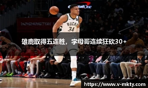 mk体育官网