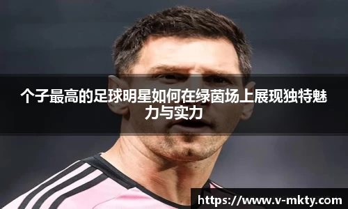 mk体育