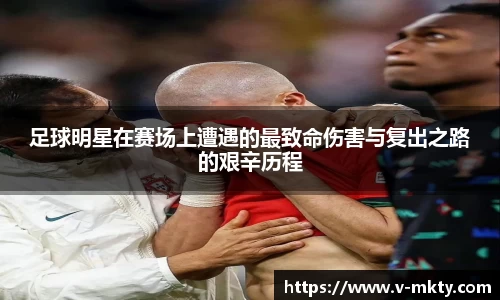 mk体育官方网站